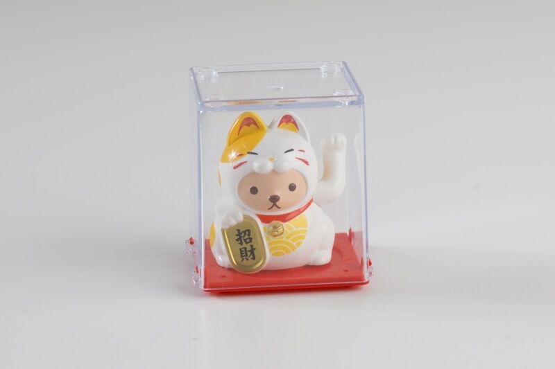 着ぐるみ猫ソーラー